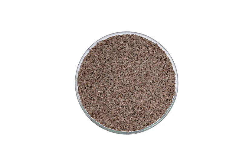 Cumin-iSpice-Top-Indian-spices-exporter-bulk-wholesale-spices-supplier-1 Cumin from top Indian spices exporter and bulk wholesale spices supplier